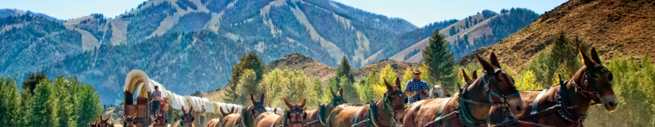 Donkeys pulling a wagon