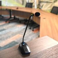 Microphone in City Hall