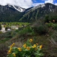 View of Ketchum's Light Industrial District