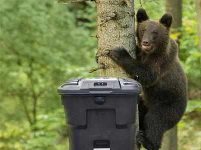 Wildlife-resistant cart