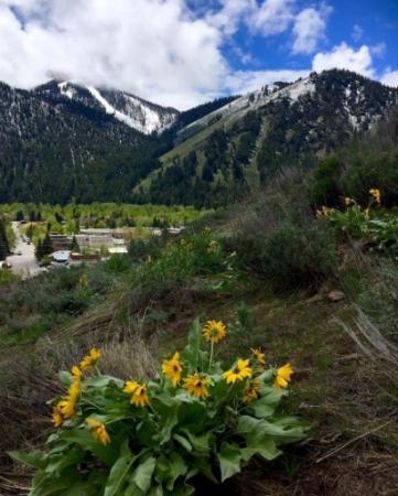 View of Ketchum's Light Industrial District