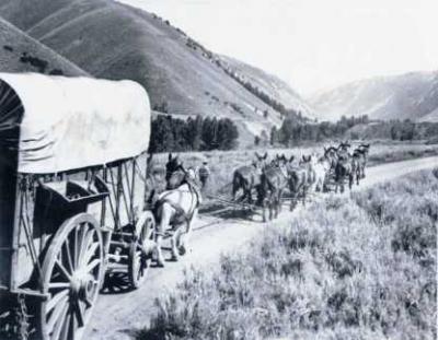 Historic Photo of Wagons